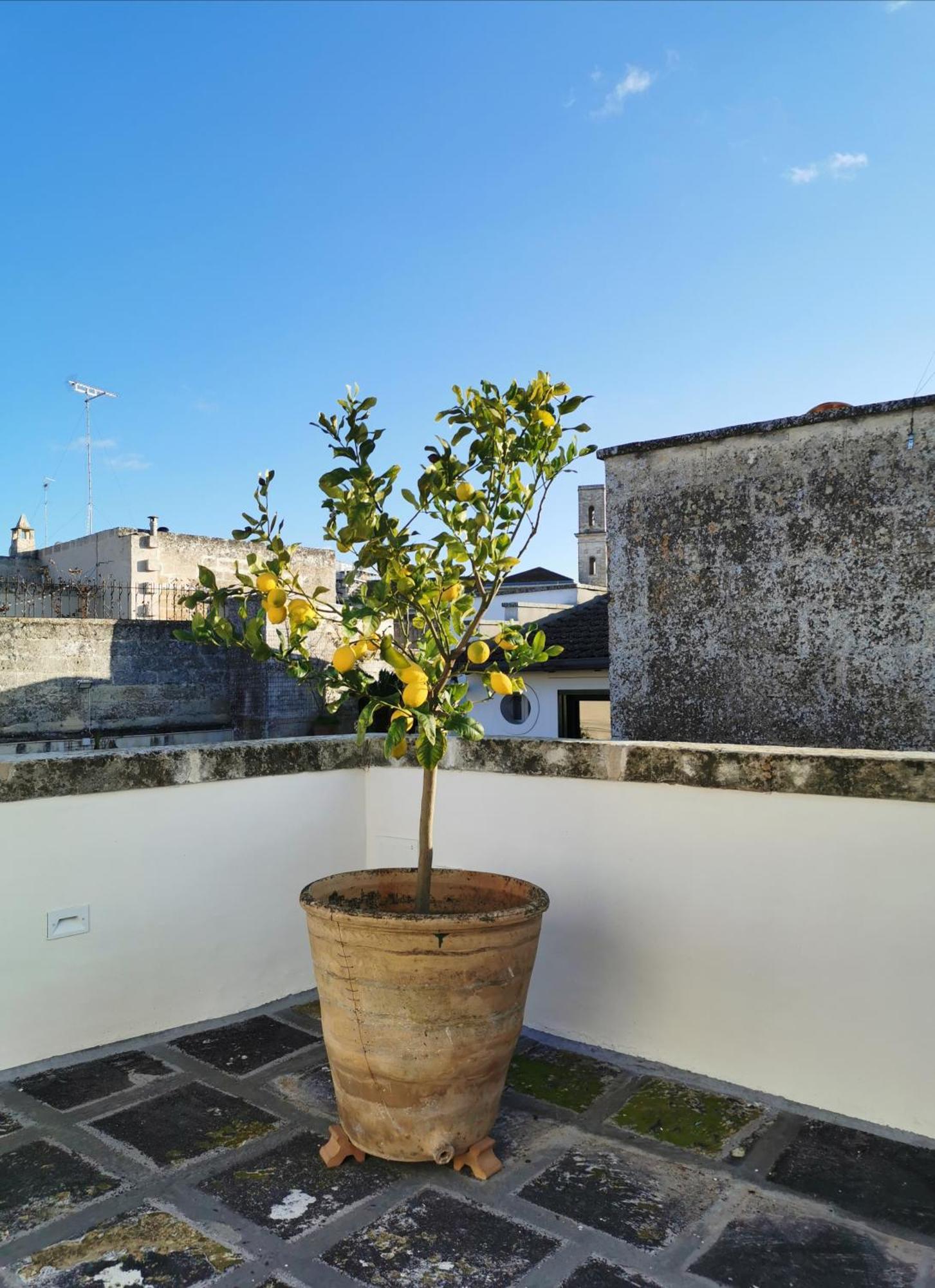 Coniger 4 Casa Vacanze In Centro Lecce Con Wi-Fi E Smart Tv Екстер'єр фото